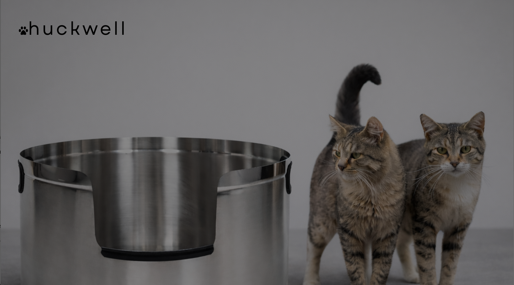 Are Stainless Steel Litter Boxes Safe for Cats?