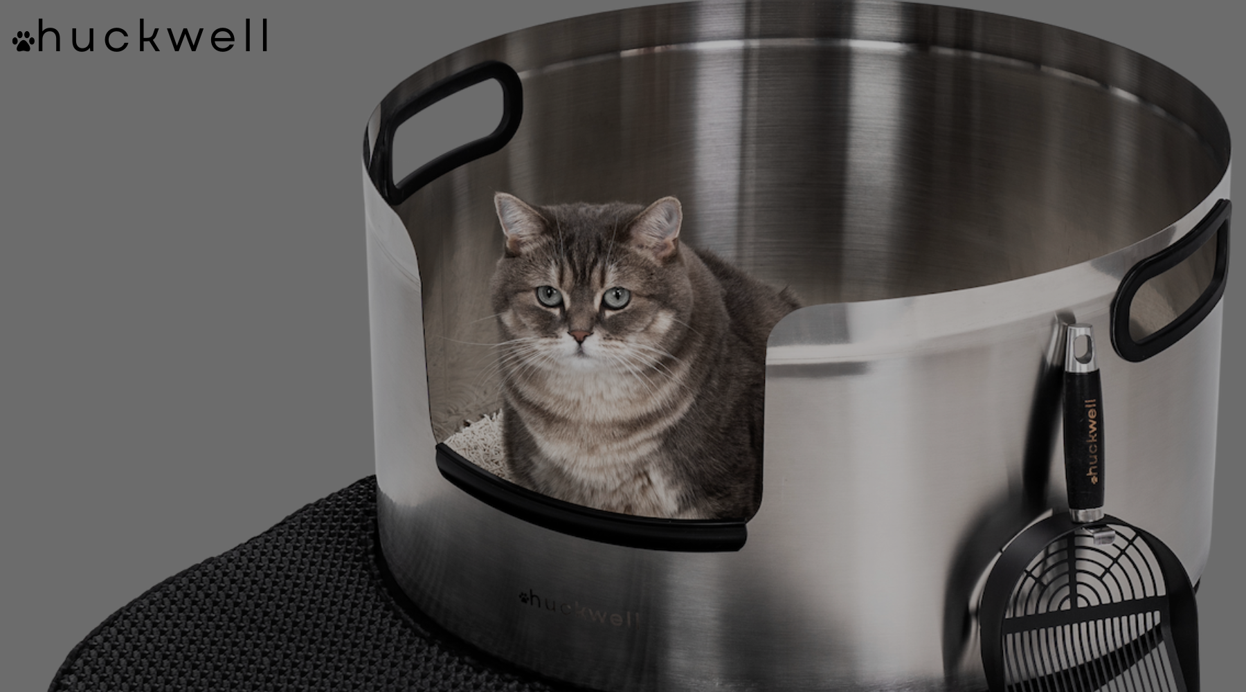 How to Clean a Stainless Steel Litter Box