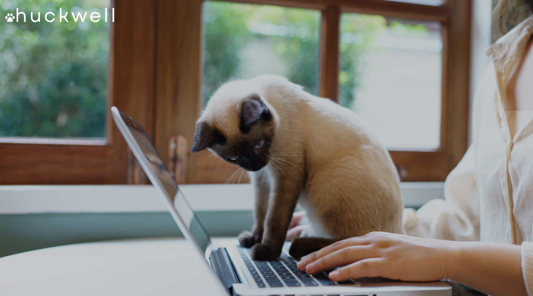 What Veterinarians Recommend for Cat Litter Boxes