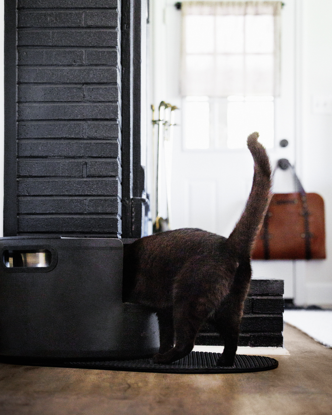 Halo: Onyx Black