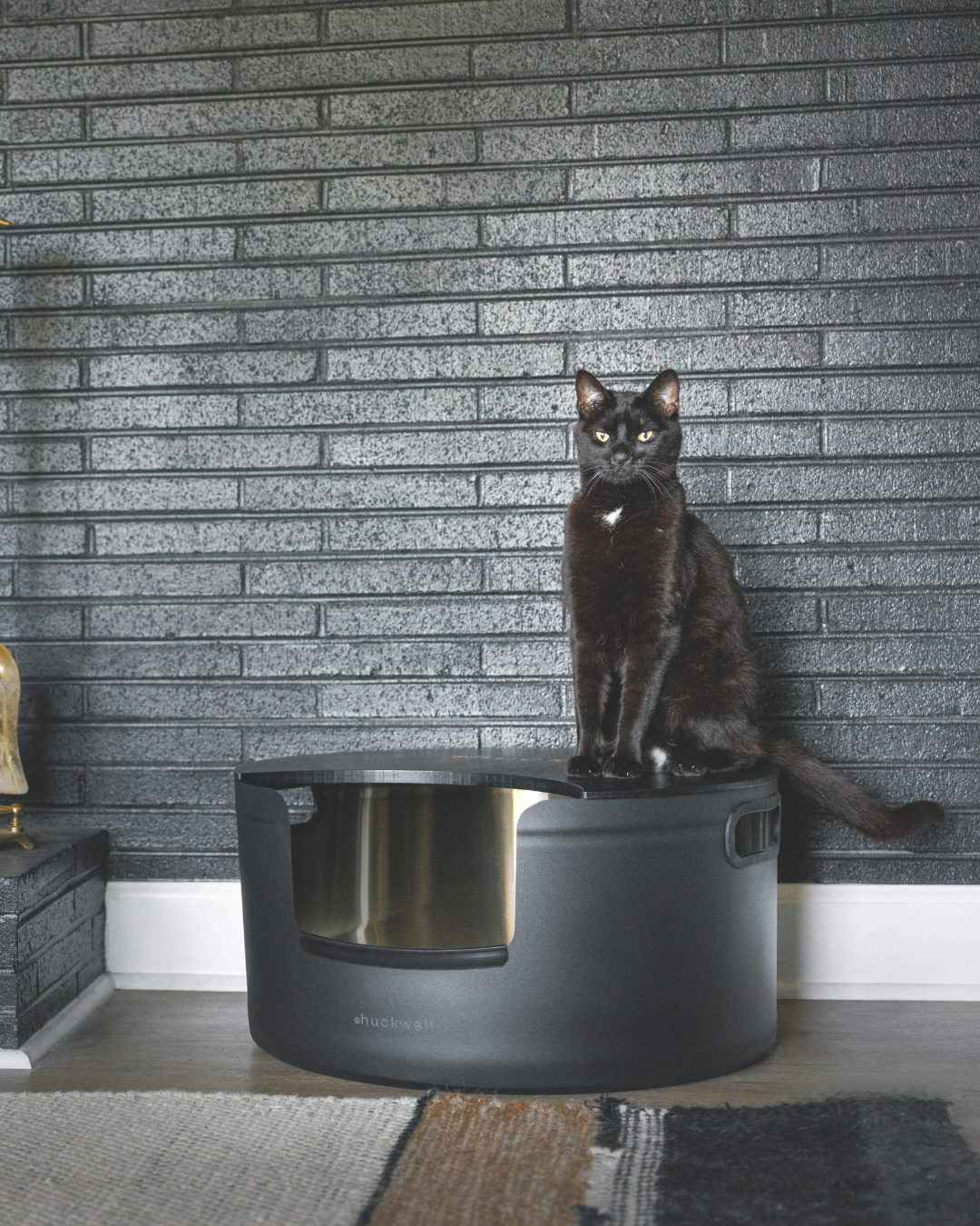 Halo XL: Onyx Black